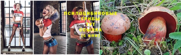 apvp Киренск