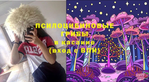 шишки Алексеевка